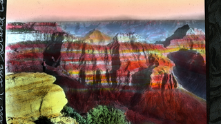 10 Amazing Photos From the Museum of Natural History's Online Archive